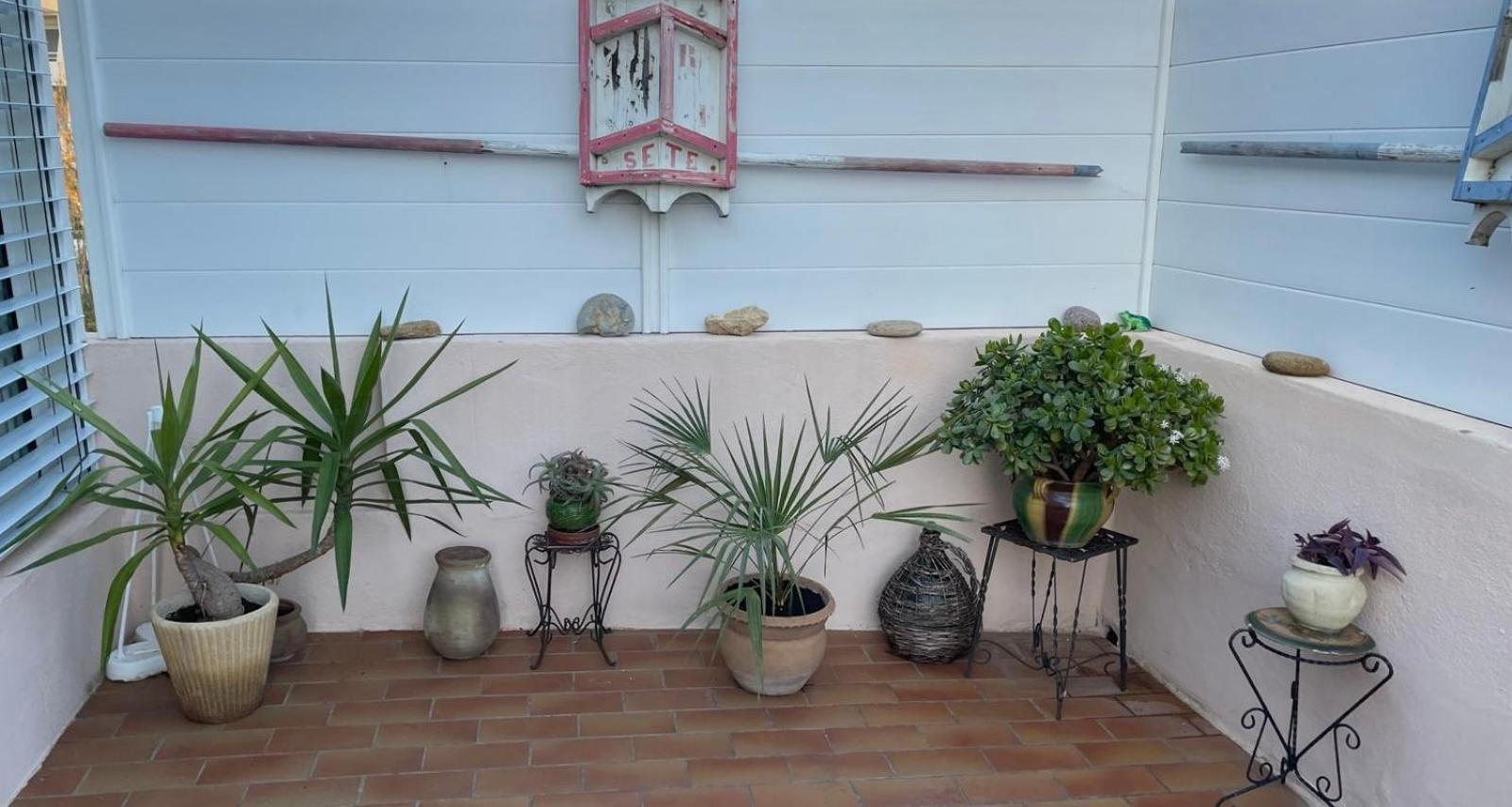 Appartement L'oasis Bleue Et Terrasse