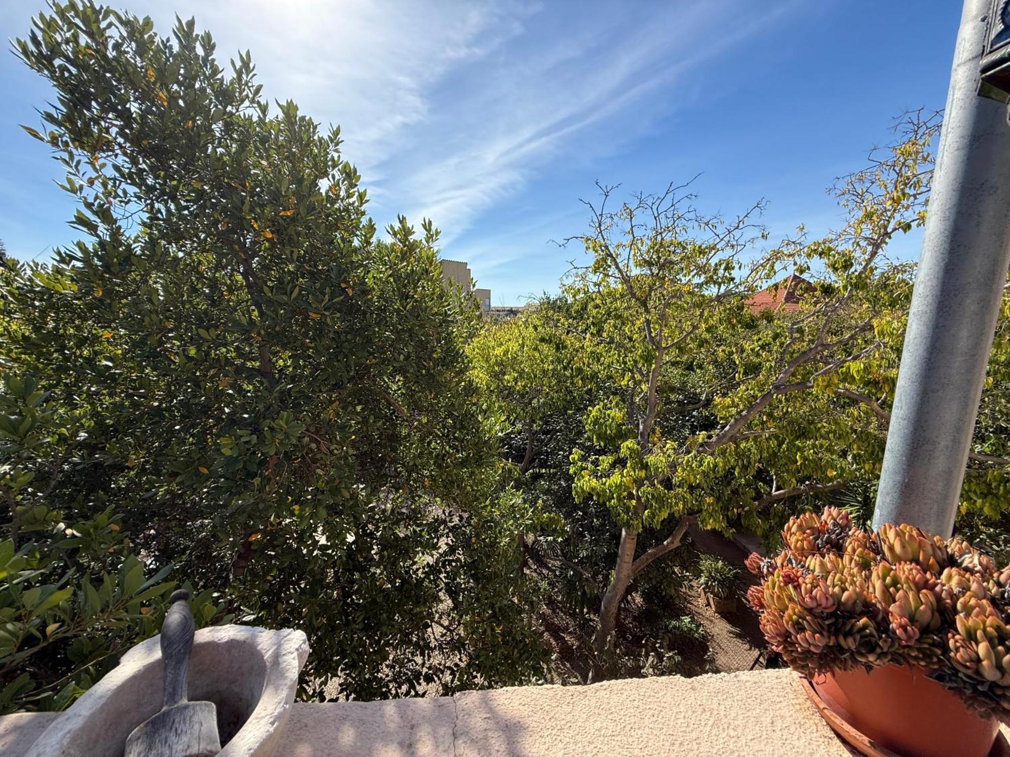 Appartement L'oasis Bleue Et Terrasse *